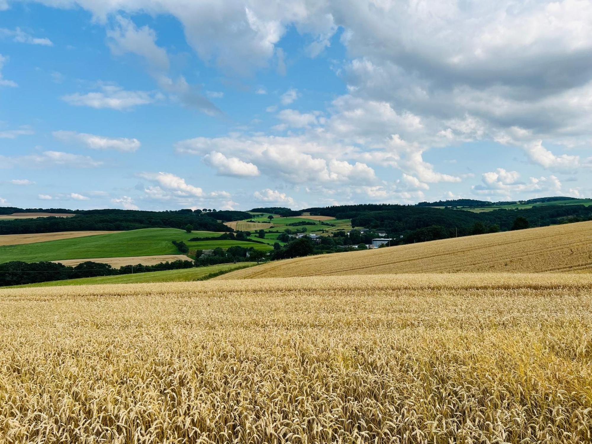 Ferienwohnung In Der Schoenen Eifel! เมเคอร์นิค ภายนอก รูปภาพ