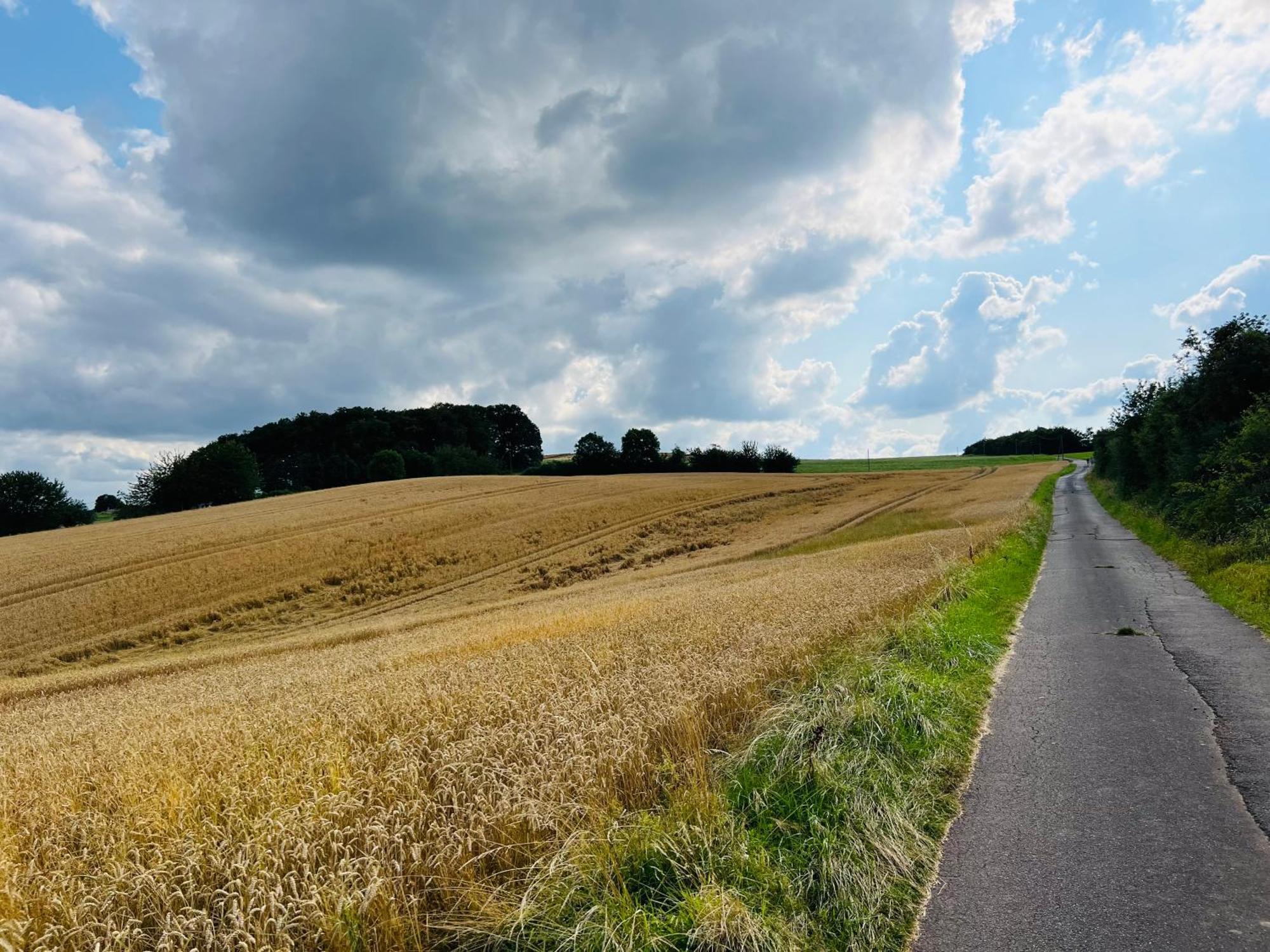 Ferienwohnung In Der Schoenen Eifel! เมเคอร์นิค ภายนอก รูปภาพ